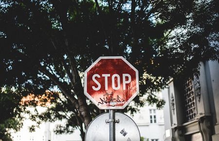rotes Stoppschild vor Blätterdach